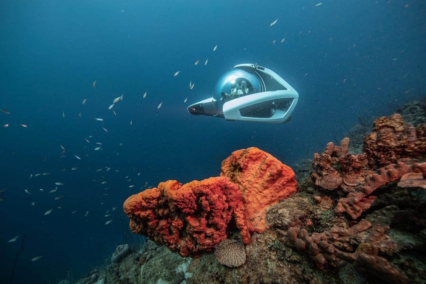 U-Boat Worx NEMO 2 Reef