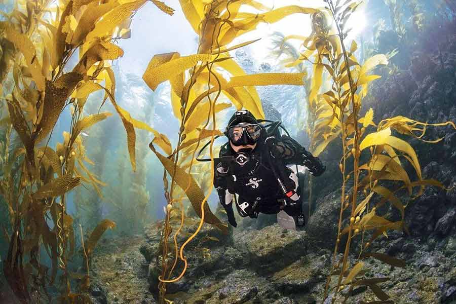 Scubapro A female kitesurfer on the ocean using a North Cross Surfboard