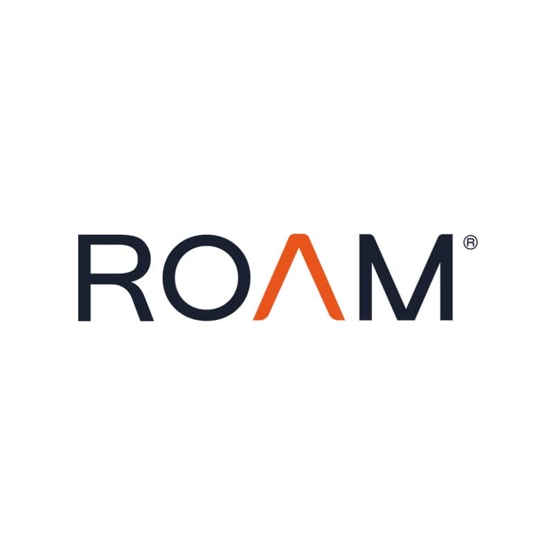 About ROAM Logo