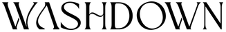 WASHDOWN Logo